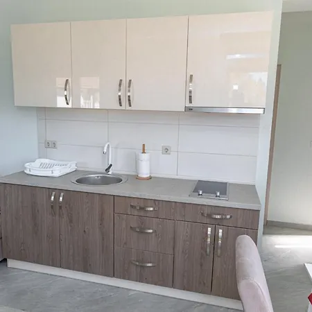 House Aronija With Swimming Pool Apartment